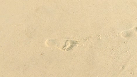 Aerial-slow-motion-backward-tracking-of-imprinted-bare-footsteps-on-a-pristine-beach