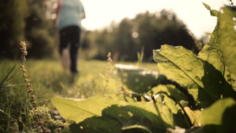 beautiful shot of my little brother running through tall grass with a nice lens flare. childlike innocence captured in a few seconds.