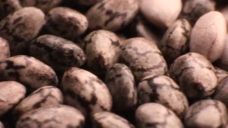 Extreme-closeup-of-isolated-chia-seeds