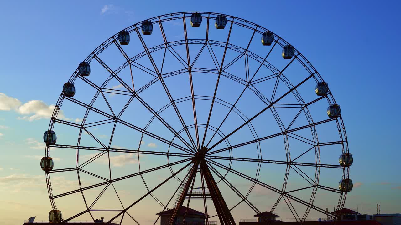 파란 하늘을 향한 페리스.