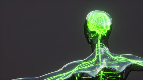 Human-Headache-Concept-Glowing-Xray-Brain
