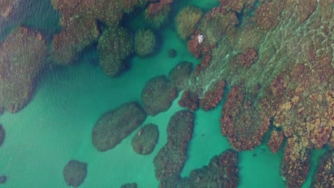 Beautiful-Coral-Reef-In-Blue-Water-Off-Costa-Rica-Shore,-4K-Drone-Flyover