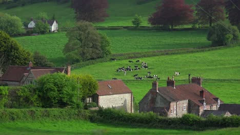 very quaint cottages make up a rural village in england ireland wales or scotland