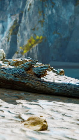 driftwood on a sandy beach with cliffs in the background