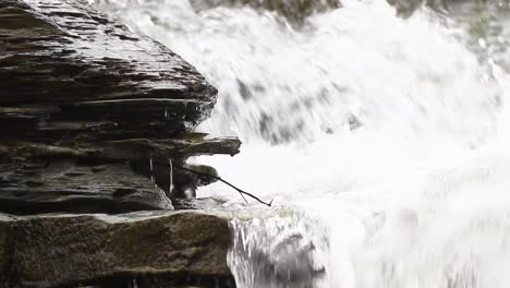 Detailvideo-Von-Wasserfällen-Und-Wasser,-Das-Von-Küstenfelsen-Tropft