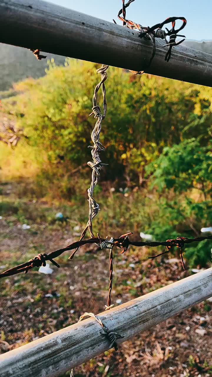 деталь ограждения из колючей проволоки