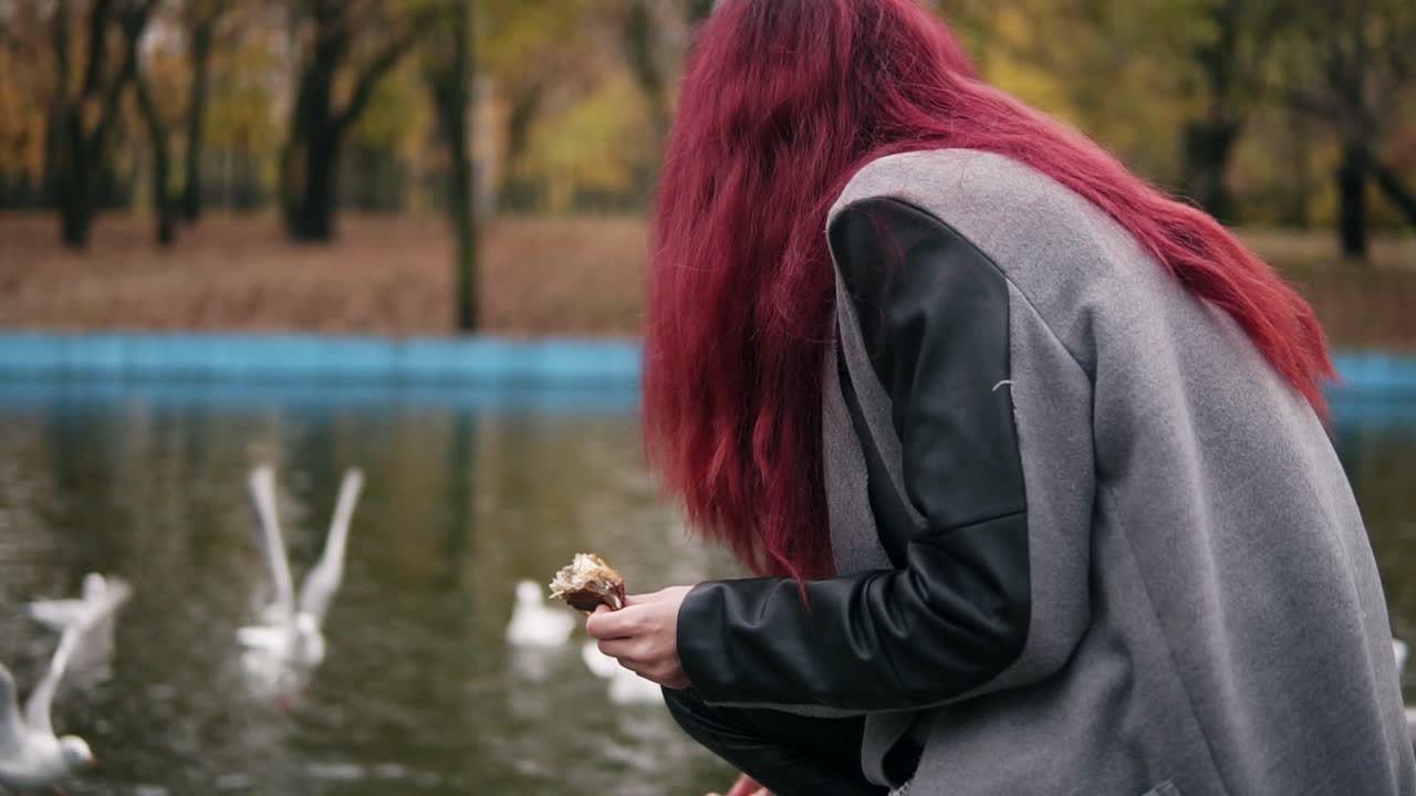 Back view of red haired woman in warm coat feeding the gulls by the pond in park in autumn. Slowmotion shot