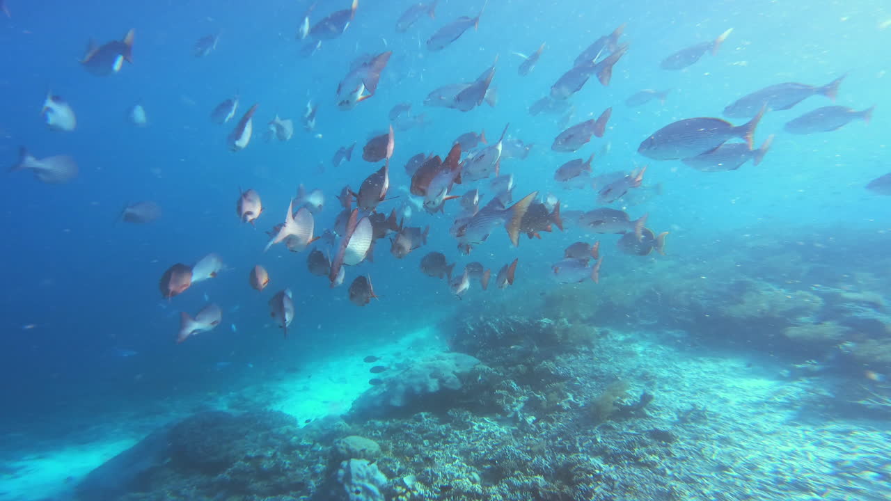 숫자가 많으면 안전합니다.