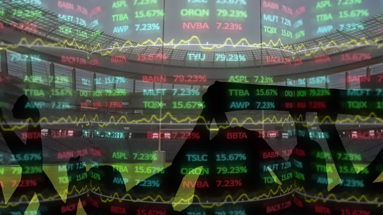 스타디움의 스포츠 팬과의 인터페이스에서 데이터 처리의 애니메이션