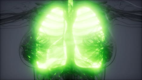 examen radiológico de los pulmones humanos
