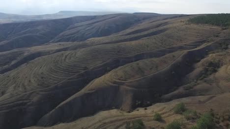 terraced farming on mountain slopes