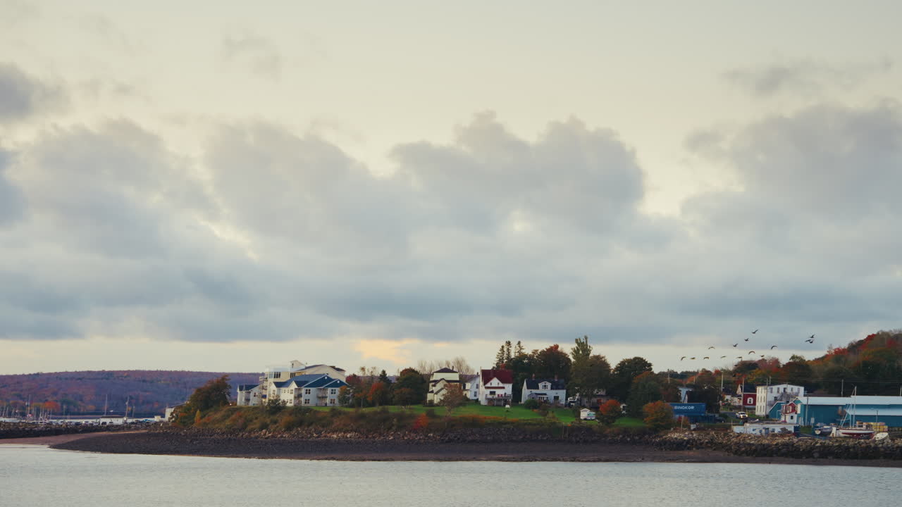 Picturesque Canadian landscape. Early morning first lights:view of the coastline and the sea.
Tranquil and peaceful landmark. Birds flying by.