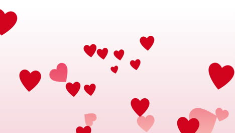 animación de iconos de corazones rojos flotando sobre un fondo blanco