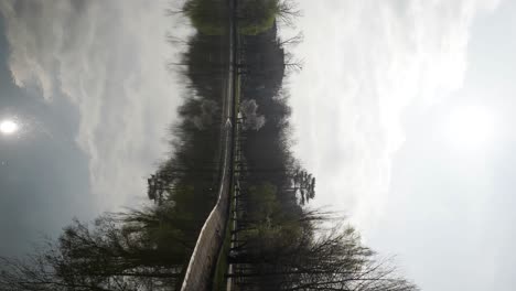 vertical shot of park lake and trees against the sun