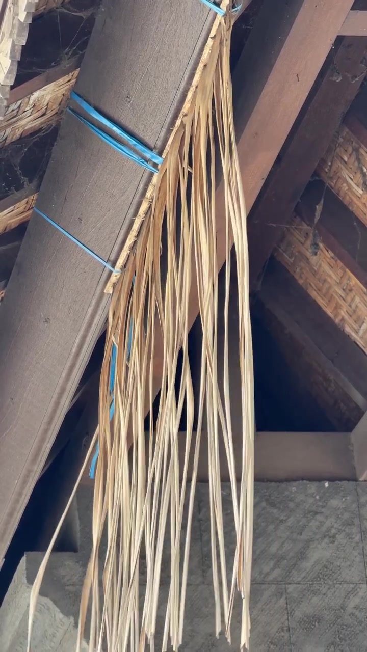 Foglie di palma essiccate appese a una trave di legno del tetto