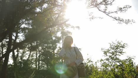 woman Meditates on Tree Stump by a Forest Stream with Sunlight Filtering through Trees Creating a Woman Meditates on Tree Stump by a Forest Stream with Sunlight Filtering through Trees Creating a Peaceful Atmosphere