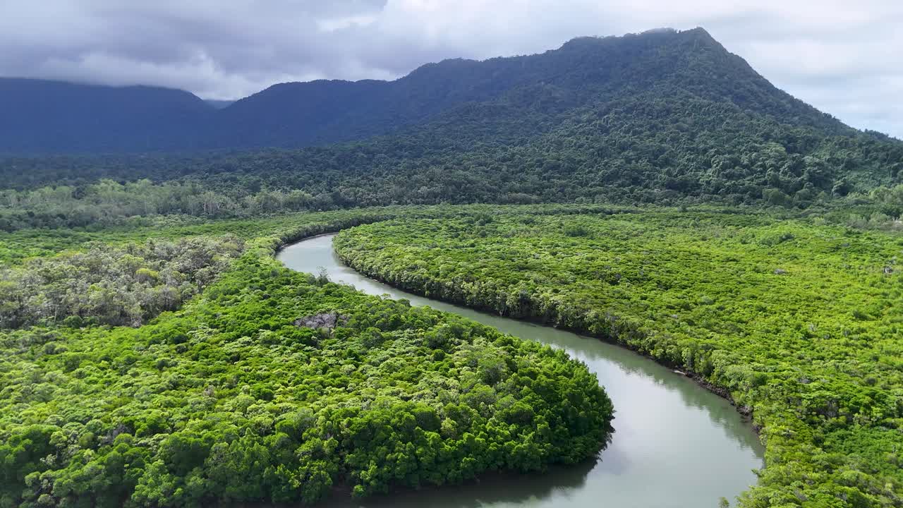 Drone glides above winding rainforest river, lush greenery, and distant mountains under cloudy daylight