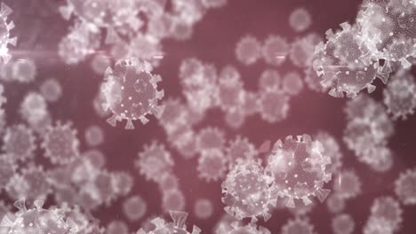 animación de células macro coronavirus covid-19 flotando sobre un fondo rojo