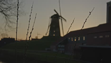 medium view of reeds near river with an out of focus historical windmill in the background at sunset