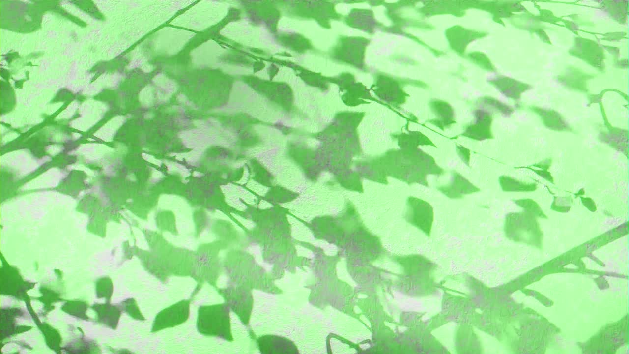 luz solar moteada en un fondo de superficie verde