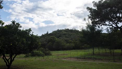 hiperlapso panorámico a través de la rica vegetación fértil y la tierra en una granja en la sabana africana, sudáfrica