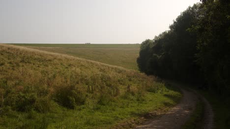 Carsington-water-dam-Trail-path,-following-the-forest-tree-line-with-dam-in-background