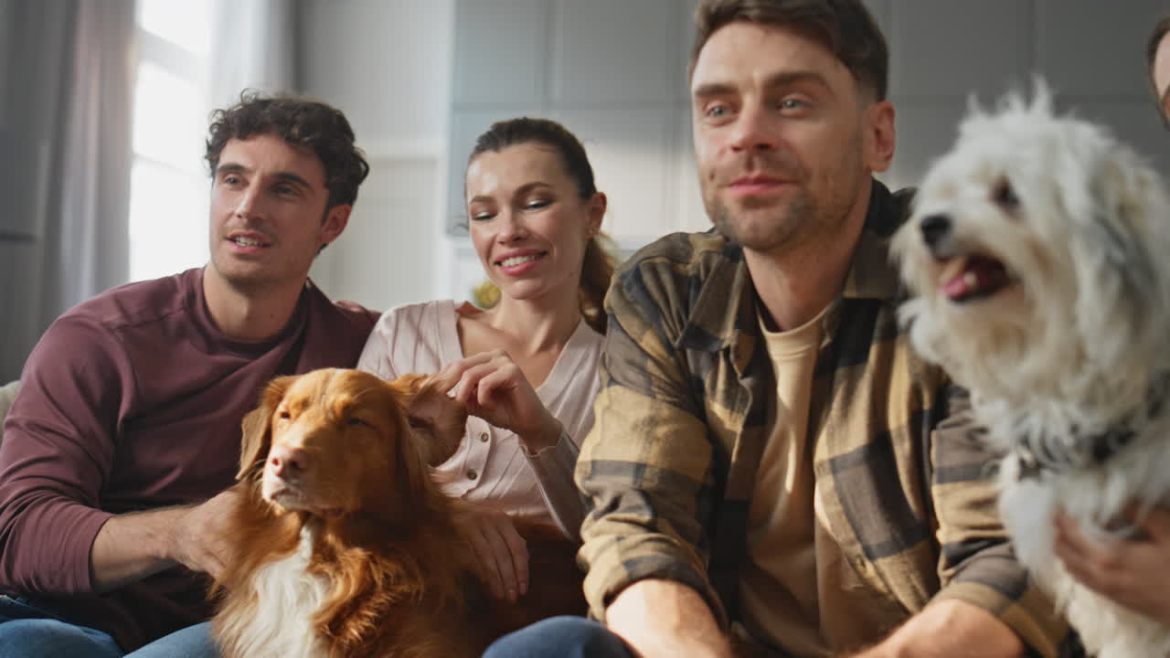 Pet owners relaxing couch watching tv together close up. Friends caressing dogs