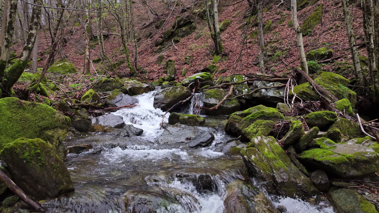 Flowing creek surrounded by lush greenery, moss-covered rocks and autumn foliage