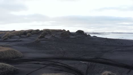 grassy dunes with volcanic black sand in sandvik coastal cove, aerial