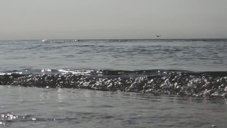 calm waves rolling into shore, sparkling water in sunny day, slow motion