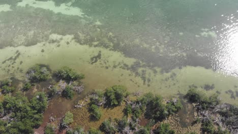 Marisma-Costa-Poco-Profunda-Océano-Claro-Agua-Las-Llaves-Florida-Estados-Unidos-Pesca-Paseos-En-Bote-Verano-Vacaciones-Tropical-Aéreo-Dron-Inclinación-Revelar