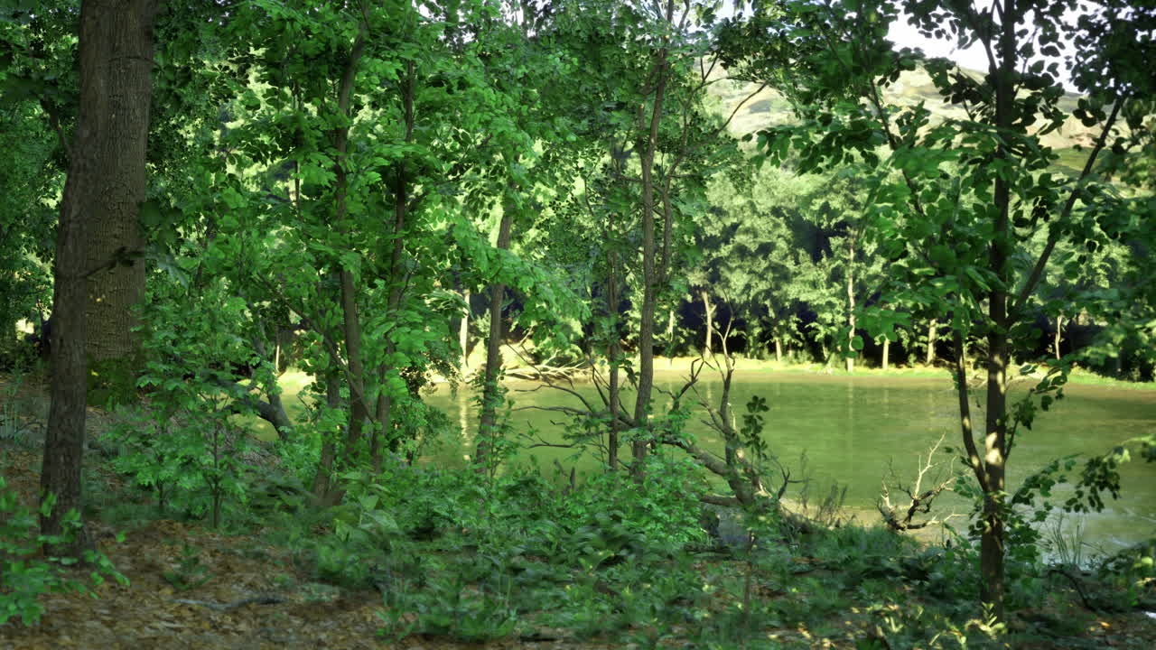 Lush green forest surrounding a tranquil pond in the afternoon sunlight