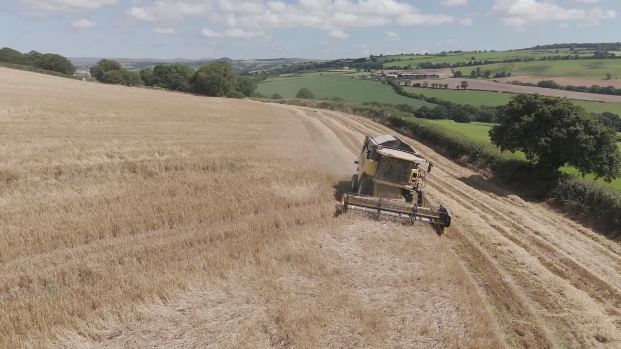 Aerial view of a combine harvester harvesting a barley field, with the reel spinning and thrashing the barley, capturing the intensity of the grain collection process