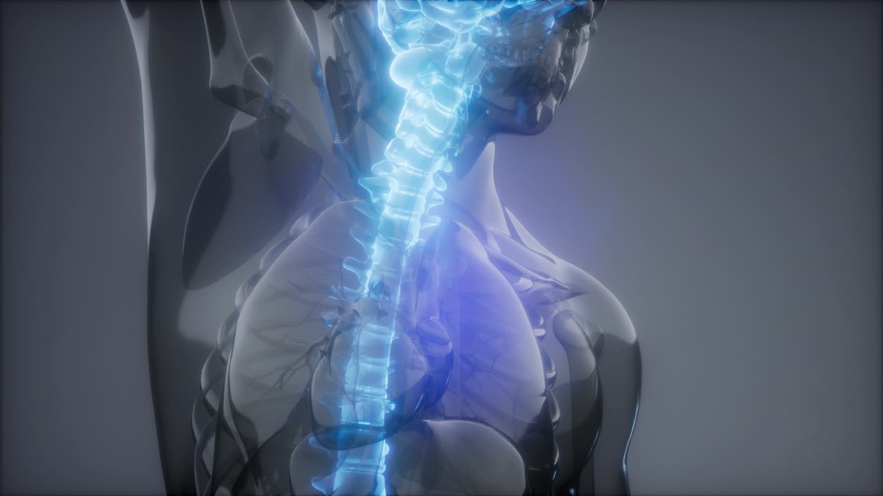 허리  ⁇ 에 허리 통증