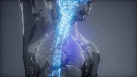 dolor de espalda en los huesos de la espalda