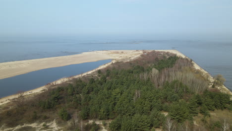 aerial side shot of natural reserve area with forest trees,nature lake and sand during sunny day