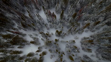 birdseye berthoud pass winter park national forest scenic landscape view aerial drone backcountry ski snowboard berthod jones colorado rocky mountains peaks high elevation upward motion