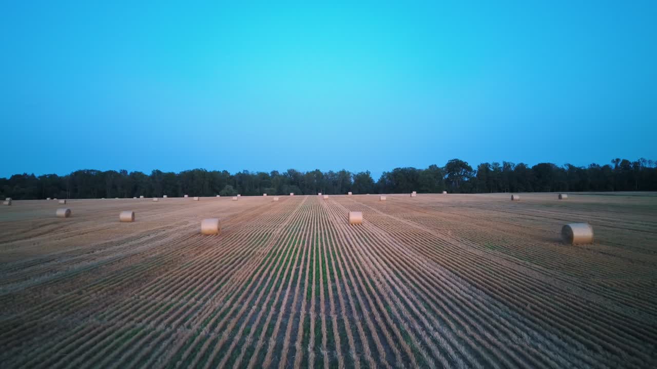 volando sobre el campo con rollos de heno al amanecer.