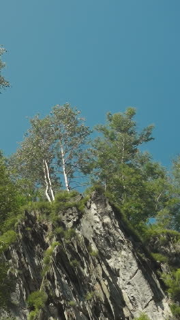 high steep cliff with growing moss in summer forest under clear blue sky. large rock among sunny woodland area. discovery beauty of virgin nature