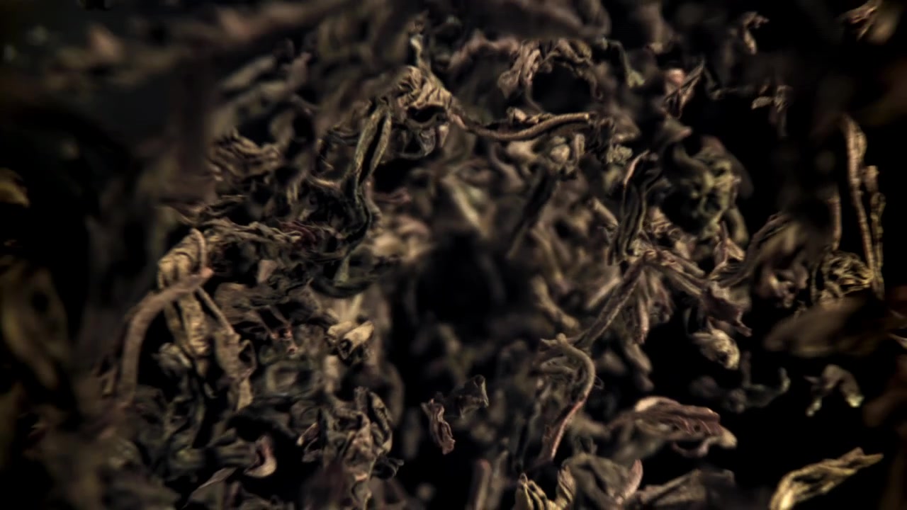 Dried Tea Leaves Floating in Slow Motion on a Dark Background