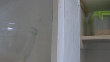 locked off close-up shot of a man painting a wood cupboard white with paint brush