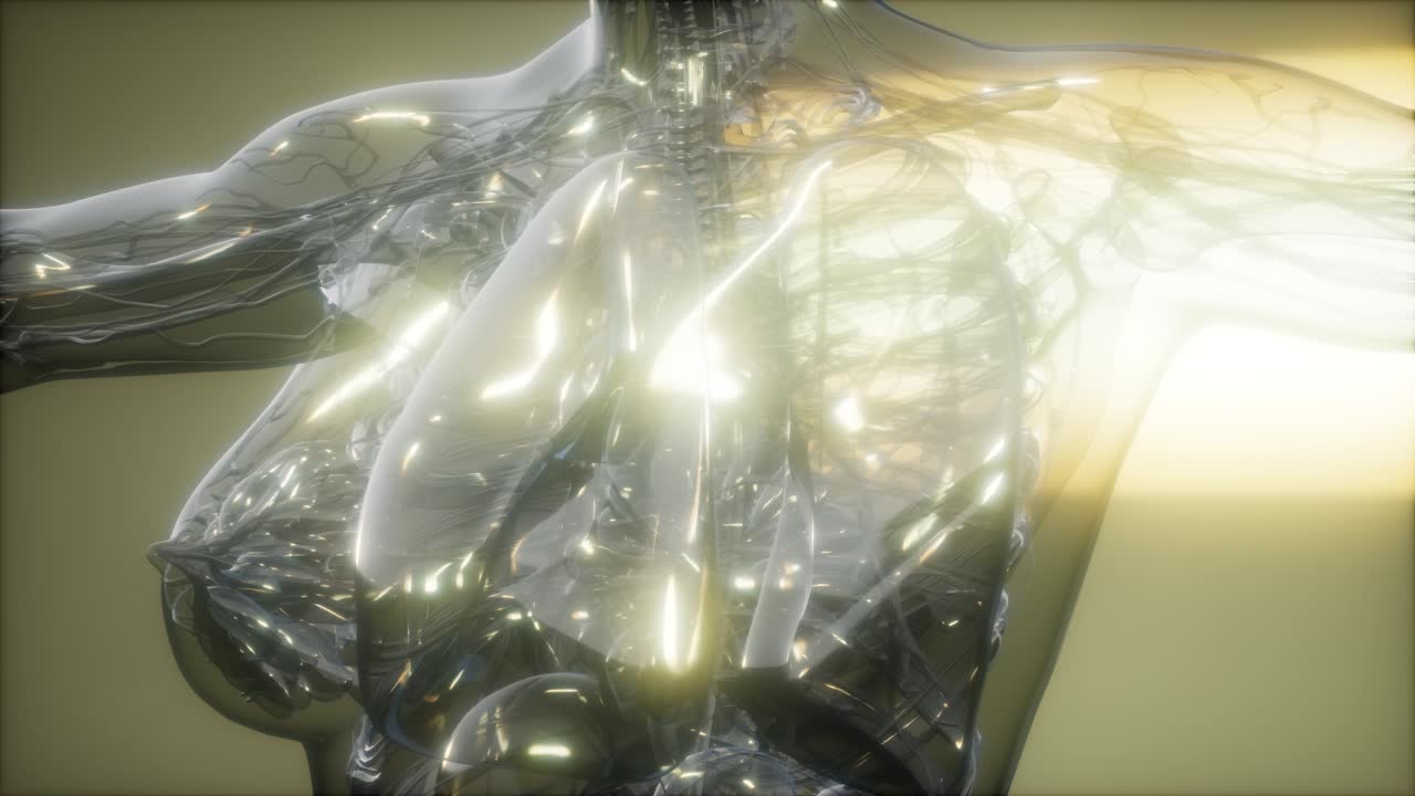 인체 의  ⁇ 스레이 이미지