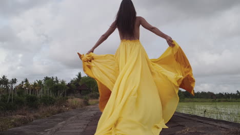 Woman in a Yellow Dress in a Rice Paddy