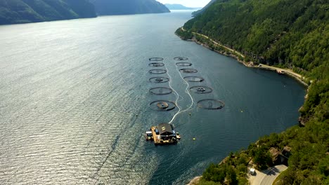 aerial footage farm salmon fishing in norway