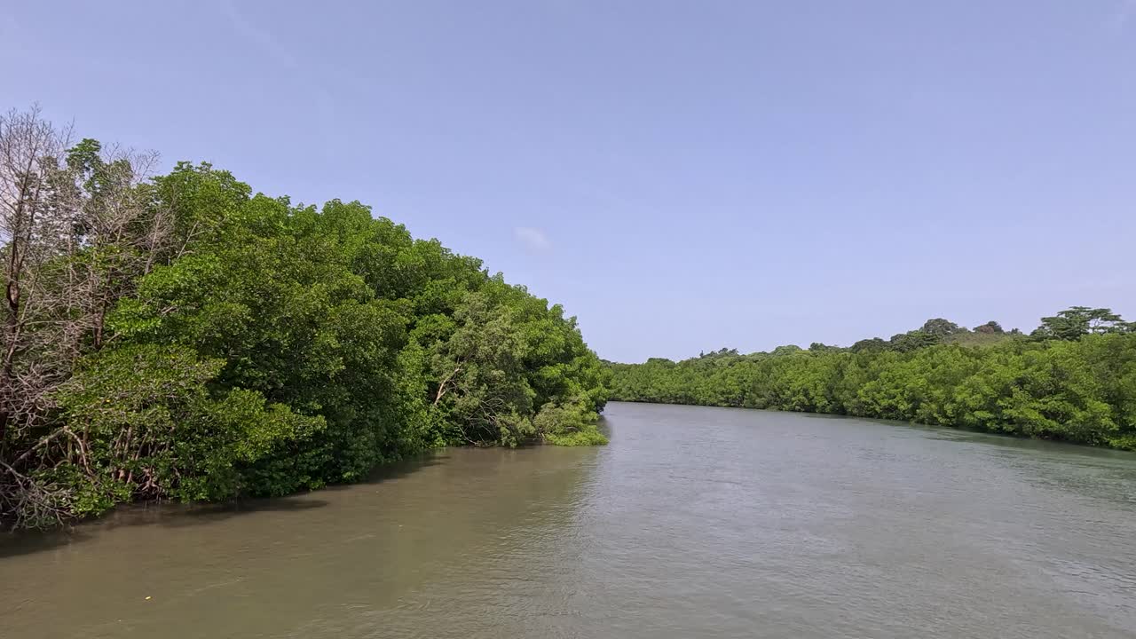 A smooth daytime boat ride down a winding mangrove-lined river in Ko Phayam, Thailand, under clear blue skies with steady forward camera movement