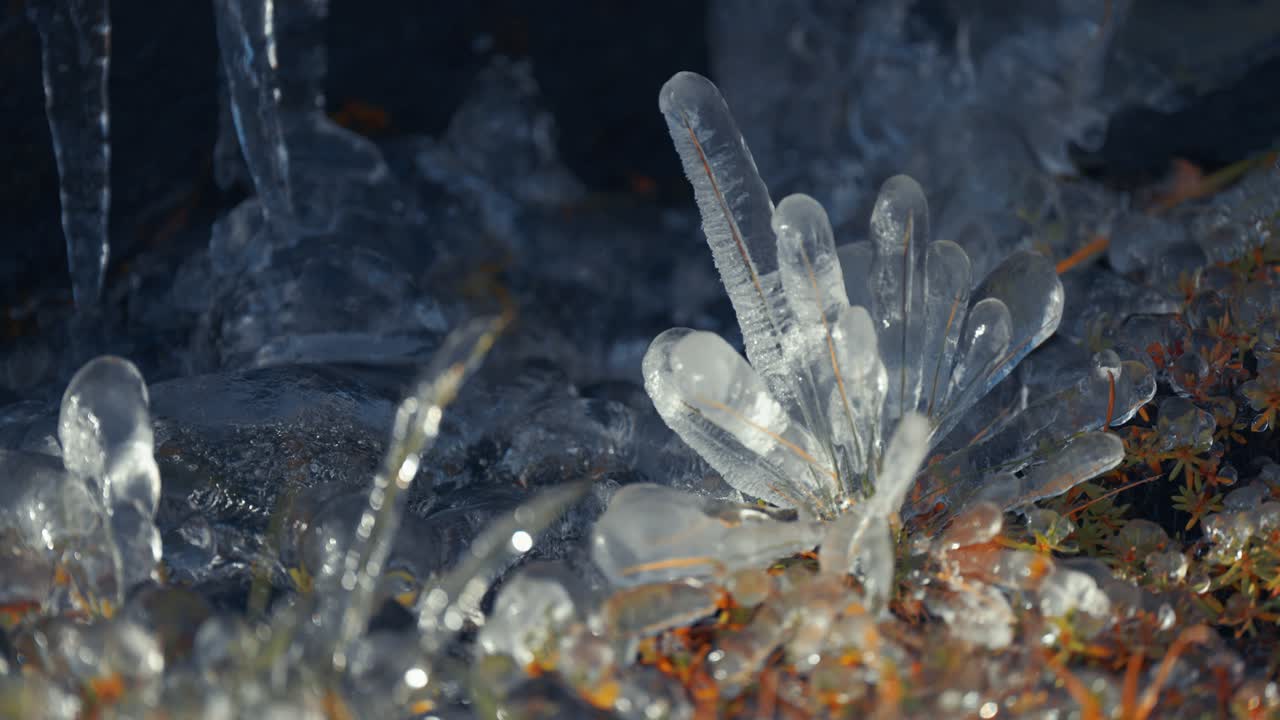 Erba e piccole piante ricoperte di ghiaccio, che creano stalagmiti in miniatura sul terreno