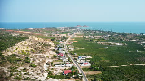 endless coastal road with dragonfruit plantation on one side, aerial view