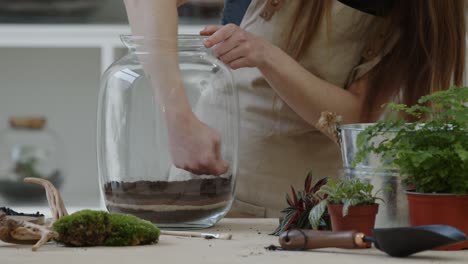 a young woman compacts the soil layer in a glass jar for creating a tiny live forest ecosystem - close-up