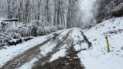 Camino-De-Acceso-Local-Camino-Agrícola-En-La-Temporada-De-Invierno-Fuertes-Nevadas-En-La-Ciudad-Forestal-En-Irán