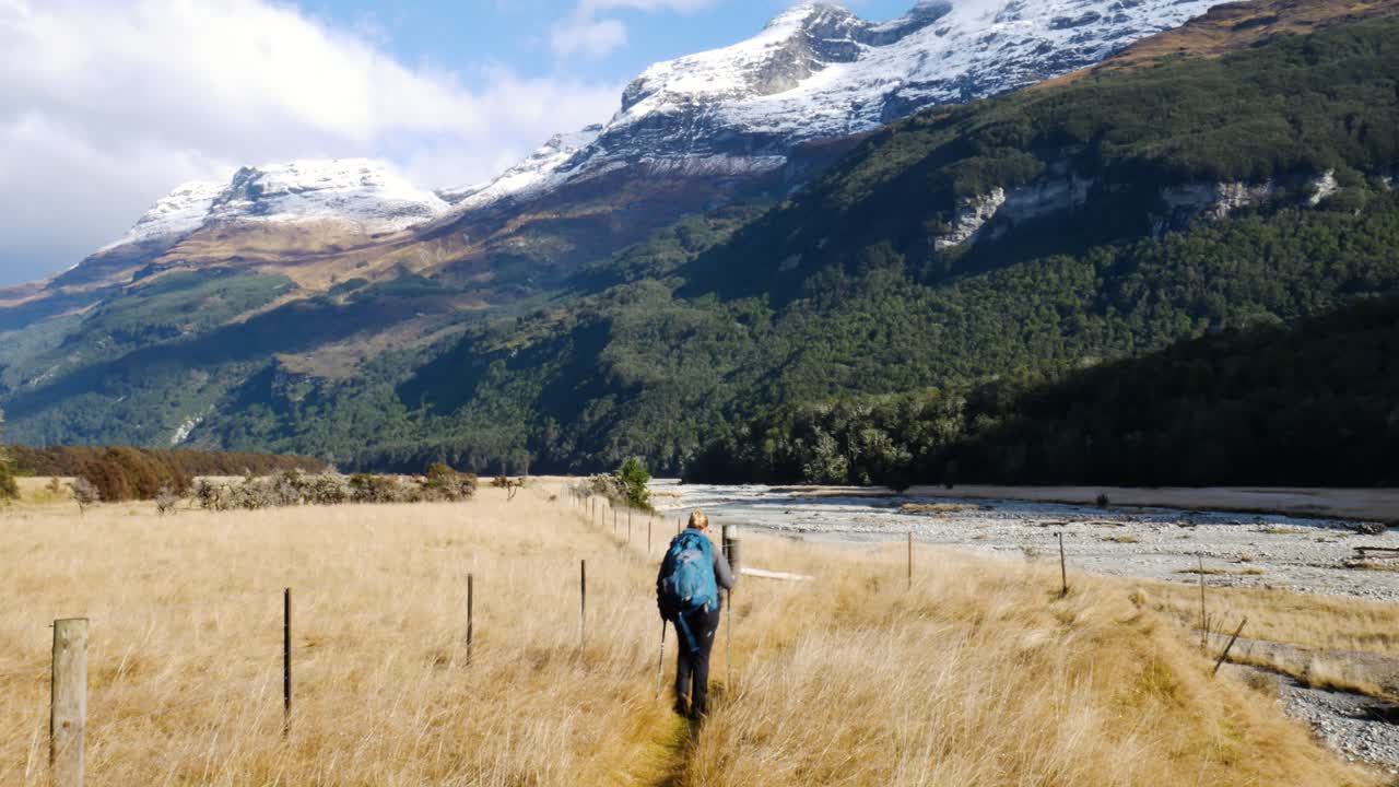 vista trasera de una mujer rubia con mochila y bastones de senderismo en pastos amarillos durante el día soleado - hermosa cordillera con picos nevados en el fondo